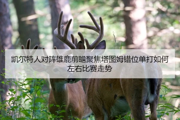 凯尔特人对阵雄鹿前瞻聚焦塔图姆错位单打如何左右比赛走势